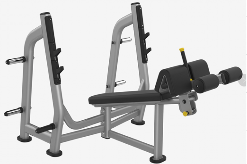 Máy đẩy tạ dốc xuống Royal M024B