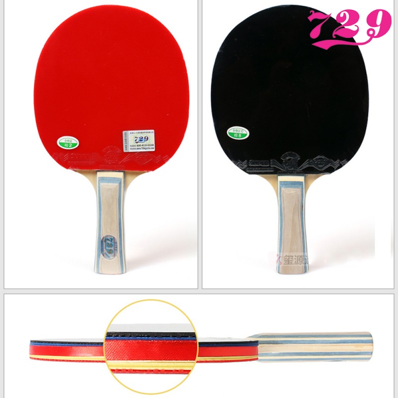 Vợt bóng bàn 729-1060