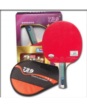 Vợt bóng bán 729-3 Sao CB