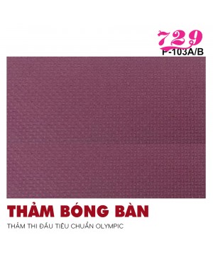 Thảm BB 729-P103A/B