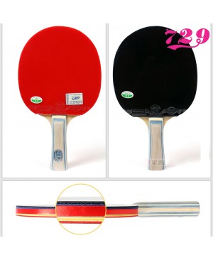 Vợt bóng bàn 729-1060