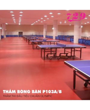 Thảm BB 729-P103A/B